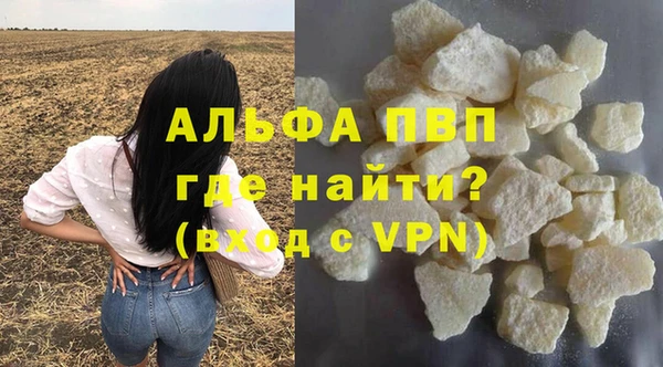 сатива Абинск