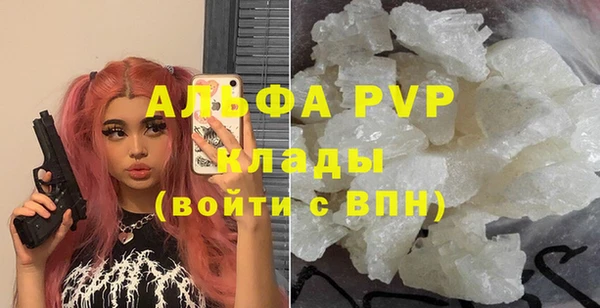 сатива Абинск