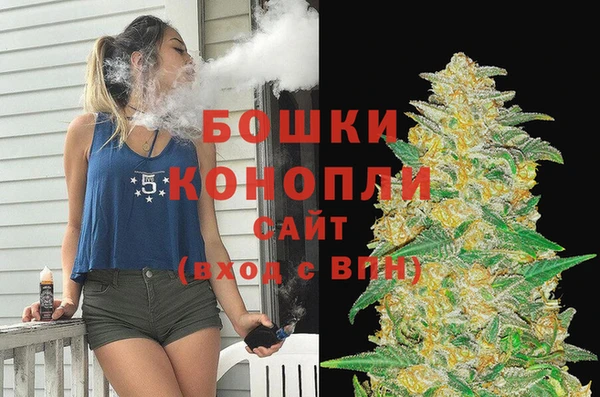 сатива Абинск