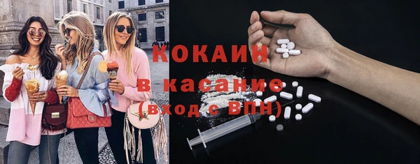 сатива Абинск