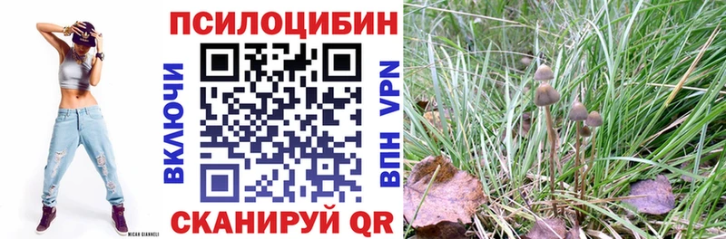 Псилоцибиновые грибы Psilocybine cubensis  закладка  Владикавказ 