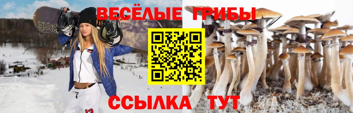 Псилоцибиновые грибы Psilocybine cubensis  Галлюциногенные грибы ЛСД  Вход с VPN  Владикавказ 