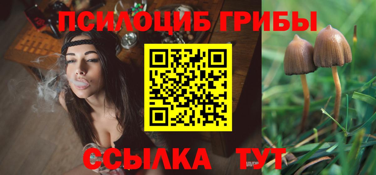 Галлюциногенные грибы ЛСД Владикавказ